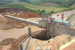 DTE chạm đáy lịch sử, cổ đông lớn gom gần 3 triệu cổ phần Đại Trường Thành Holdings