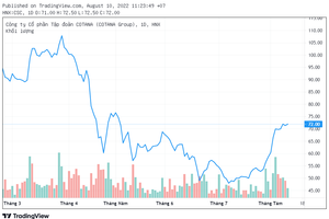 Cotana (CSC): Lợi nhuận quý II bất ngờ tăng 8.200% lên 170 tỷ đồng