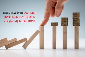 Cổ phiếu ROS trả điểm, VN-Index lùi sâu khỏi mốc 1.260