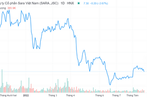 SRA: Cổ đông lớn muốn bán toàn bộ vốn để cho doanh nghiệp vay tiền