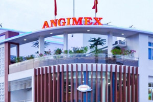 Louis ra đi, một cá nhân chi đậm để thành cổ đông lớn của Angimex (AGM)