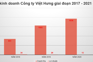 CTCP Đầu tư Công nghiệp Việt Hưng: Lợi nhuận lao dốc, nợ phải trả leo dốc