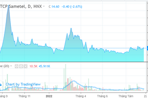 Louis Capital (TGG) bán bất thành Sametel