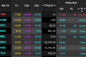 Cổ phiếu thép đồng loạt giảm sàn, HSG, NKG, TLH, MEL, NSH rơi hết biên độ