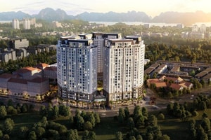 Công ty Tổ chức Nhà Quốc Gia: Thua lỗ triền miên, âm nặng vốn chủ sở hữu 