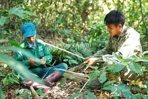 "Bỏ phố về quê": Cách trốn tránh của kẻ thất bại hay lựa chọn của người thành công?