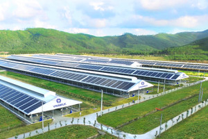 Vinamilk (VNM): Cổ đông ngoại lại đăng ký mua vào gần 20,9 triệu cổ phiếu