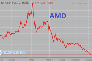 AMD: "Chiến binh" cuối cùng...