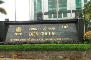 Khai sai thuế, Điện Gia Lai (GEG) bị phạt hơn 215 triệu đồng