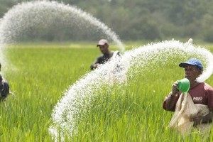 Giá phân bón hạ nhiệt, doanh nghiệp phân bón báo lãi "còi" quý 3 sau đỉnh cao quý 4/2021