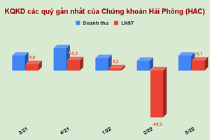 Tự doanh lỗ nặng 37% sau 9 tháng, Chứng khoán Hải Phòng chưa hoàn thành nổi 1% chỉ tiêu lợi nhuận 