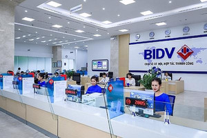 BIDV mang lô đất 3.000m2 ở Ninh Bình ra đấu giá