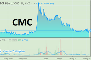 Cổ phiếu GEX - HPG tiếp tục khiến Đầu tư CMC báo lỗ