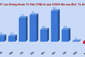 Sau thời cựu CEO Đỗ Đức Nam, Chứng khoán Trí Việt (TVB) lần đầu báo lỗ quý