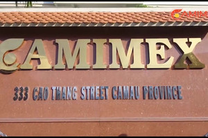 Camimex Group (CMX) đưa cổ phiếu công ty con lên sàn chứng khoán