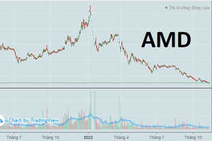 Cổ phiếu giảm 90% sau 10 tháng, FLC Stone (AMD) dùng 10 QSDĐ để thế chấp khoản vay tại OCB