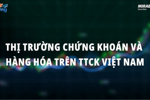 Tìm hiểu về Thị Trường Chứng Khoán: Rất nhiều sản phẩm để nhà đầu tư lựa chọn đa dạng hóa và hạn chế rủi ro