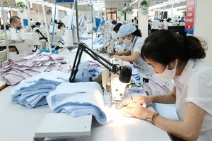 May Sông Hồng (MSH) chốt danh sách cổ đông tạm ứng cổ tức bằng tiền tỷ lệ 25%