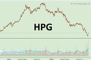 HPG lập kỷ lục thanh khoản sau 16 năm niêm yết, khối ngoại trở thành "công thần"