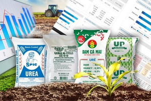 VCSC nâng dự phóng lợi nhuận của DPM, DCM - "Ông lớn" ngành phân bón sẽ có mức cổ tức hấp dẫn?