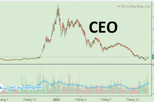Thị giá tăng 70% sau 7 phiên trần, CEO Group muốn phát hành hơn 5,1 triệu cổ phiếu ESOP
