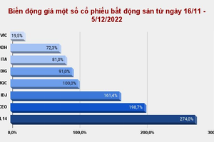 CEO - L14 "sinh lời" trên 200% sau 3 tuần, nhóm trụ bất động sản bắt đầu rung lắc 