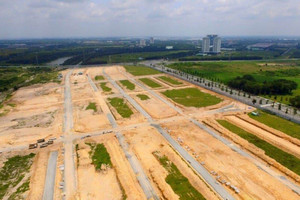 TP. HCM chuyển 7 vụ vi phạm về đất công cho cơ quan điều tra