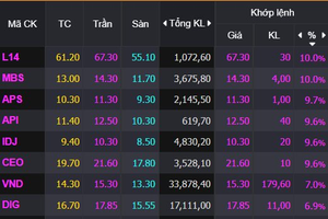 VN-Index ngắt chuỗi 2 phiên điều chỉnh, nhóm Midcap tăng trần trở lại