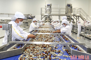 Sơn La hỗ trợ nông dân bảo quản, chế biến, nâng cao giá trị các mặt hàng nông sản