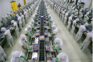 46 doanh nghiệp thủy sản đạt danh hiệu Doanh nghiệp xuất khẩu uy tín 2021