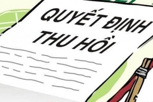 Lâm Đồng sẽ thu hồi đất 169 dự án trong năm 2023