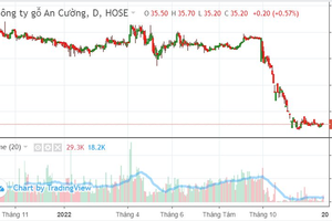 Cổ phiếu ACG (Gỗ An Cường) mất gần nửa giá sau hơn 2 tháng lên HOSE, lãnh đạo nói gì?