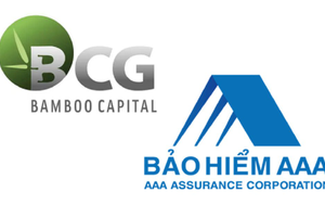 Bamboo Capital (BCG) cắt gần nghìn tỷ vốn góp vào công ty bảo hiểm
