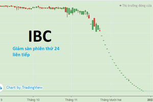 VN-Index hồi mốc 1.000: Cổ phiếu thép đồng loạt "tím", IBC "lịm" phiên thứ 24