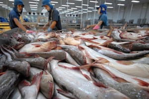 Cá tra Việt Nam vẫn có cơ hội lạc quan trong năm 2023