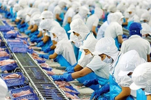 Lợi nhuận năm 2023 của Vĩnh Hoàn (VHC) nhiều khả năng tăng trưởng âm?