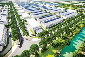 Mirae Asset: KBC, IDC, VGC hưởng lợi từ quỹ đất cho thuê lớn