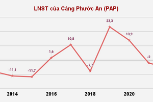 Cảng Phước An (PAP): Vốn nghìn tỷ, 6 năm vẫn "không doanh thu"