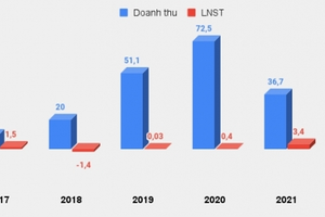 Đầu tư CMC tái lỗ năm 2022, danh mục đầu tư chứng khoán lỗ 40%