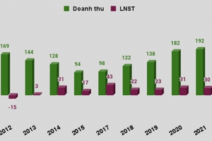 Vận tải biển Sài Gòn (SGS): Lãi ròng 2022 đạt kỷ lục, tiền mặt chiếm 60% tổng tài sản