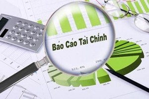 Gánh nặng chi phí tài chính, TNG vẫn báo lãi kỷ lục 292 tỷ đồng cả năm