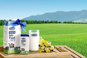 Lợi nhuận của ông lớn ngành sữa Vinamilk (VNM) văng khỏi mốc 10.000 tỷ đồng sau 6 năm