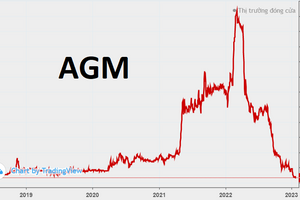 Angimex (AGM) lỗ kỷ lục 140 tỷ thời "hậu Louis", nợ vay chiếm gần 96% tổng nợ