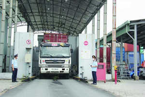 10 nhóm chỉ tiêu về cải cách, đơn giản hóa thủ tục hải quan năm 2023