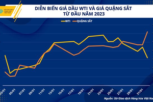 Quặng sắt, dầu thô: Đâu là hàng hóa có bước chạy đà tốt từ đầu năm tới nay?