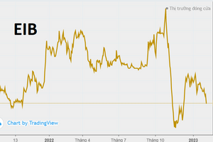 Hơn 233 triệu cổ phiếu EIB (Eximbank) bị khối ngoại xả bán sau gần 2 tháng