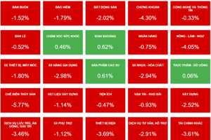 Cổ phiếu bất động sản, chứng khoán, thủy sản đua nhau "nằm sàn" phiên 13/2