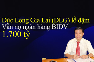 Đức Long Gia Lai lỗ đậm năm 2022: Góc nhìn từ khoản nợ BIDV 1.700 tỷ đồng và trích lập dự phòng hàng trăm tỷ