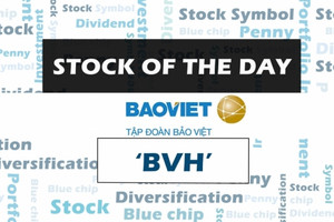 Mua gì hôm nay? BVH “vơi gánh” dự phòng, tăng trưởng vững vàng
