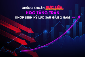 Chứng khoán rực lửa, HQC tăng trần - khớp lệnh kỷ lục sau gần 2 năm